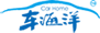 CloudCRM Logo